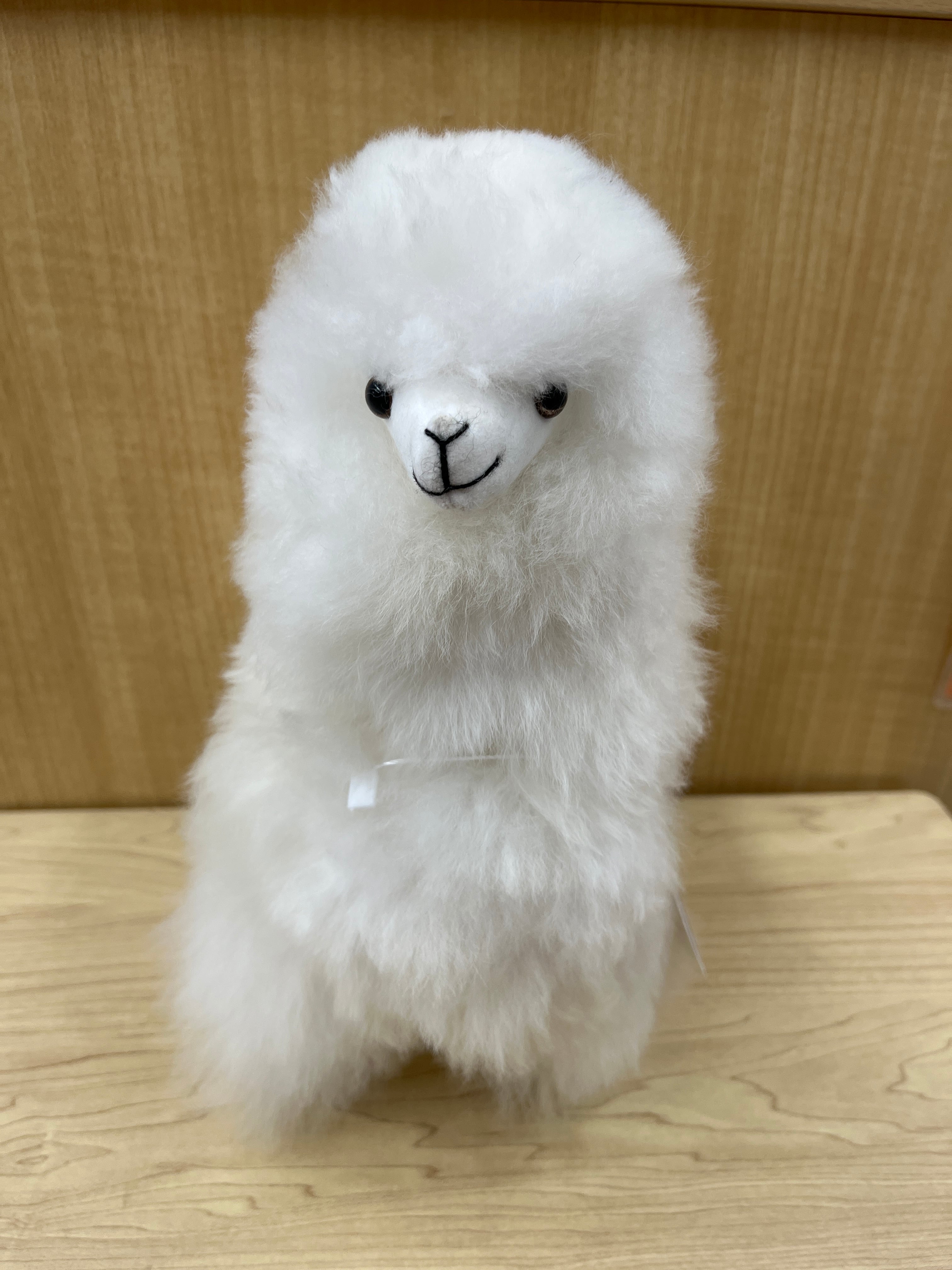 ALPACA WORLD