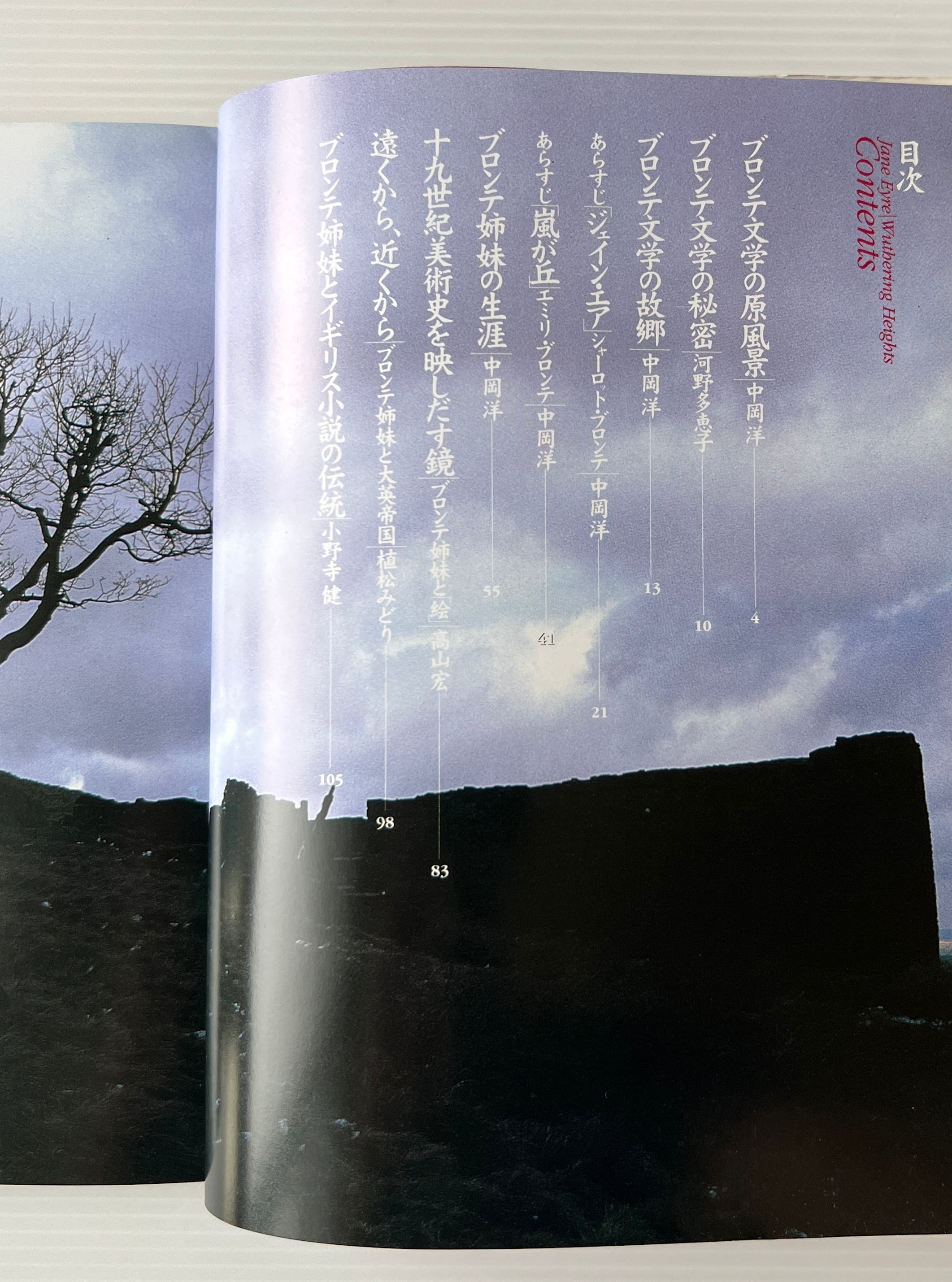 図説『ジェイン・エア』と『嵐が丘』 : ブロンテ姉妹の世界 / 河野多恵子 他著 / 河出書房新社
