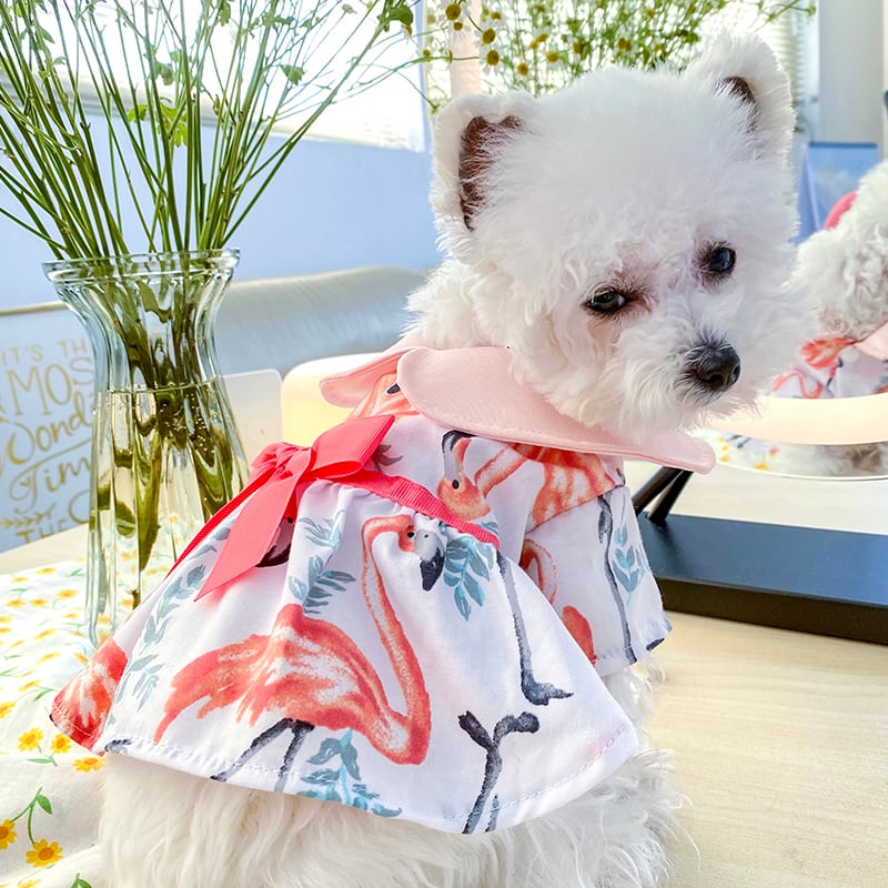 犬服ファッション通販 Little Dog ベース 小型犬服 ペット服 春夏服
