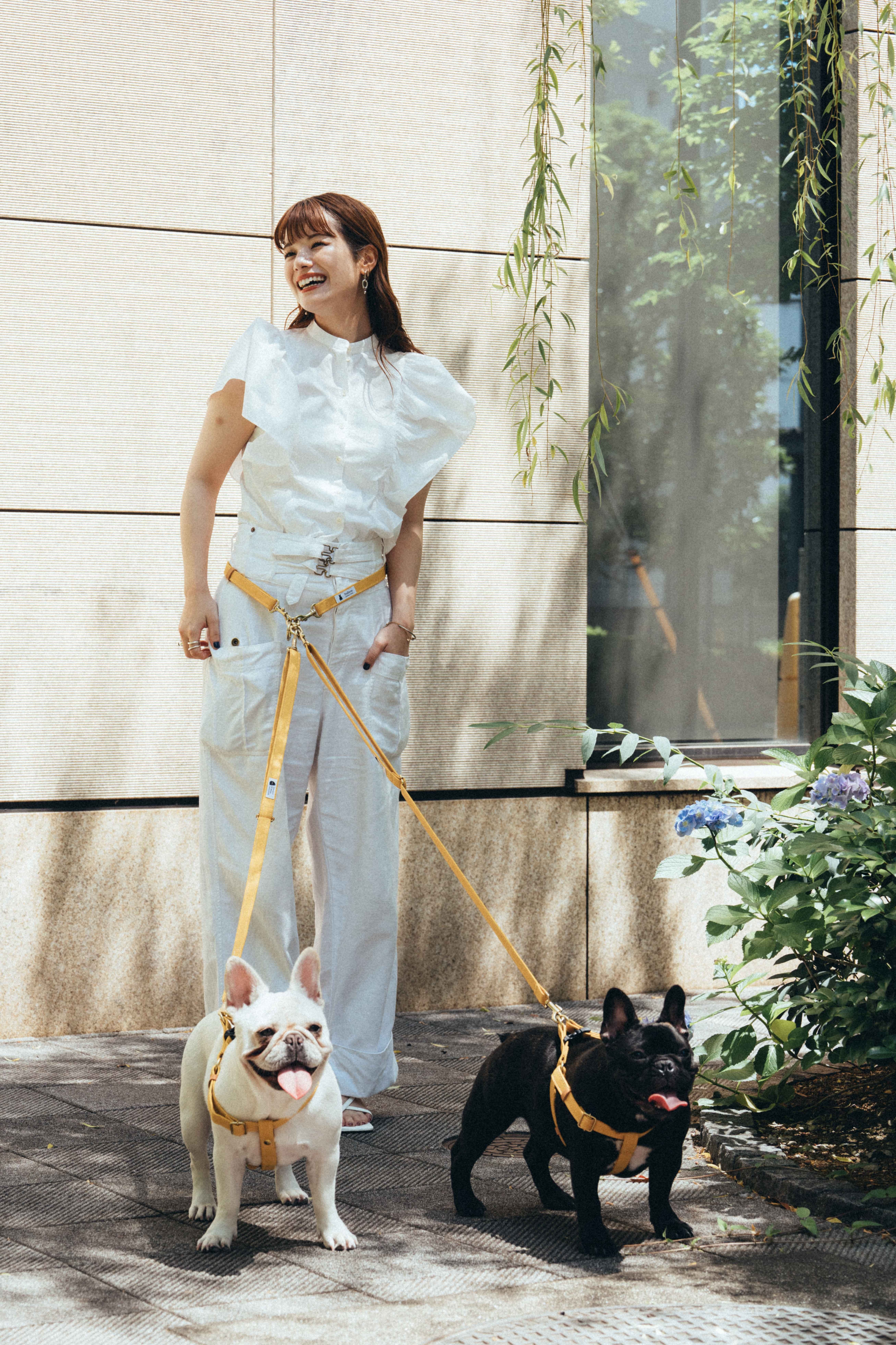 散歩グッズ | Bullson