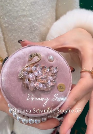 【Swan Jewelry Box 】Pink Color ｜Macaron Box