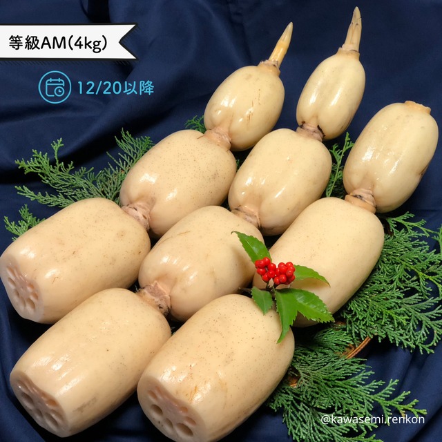 12/1-20発送分【AM】カワセミれんこん【4kg】 | カワセミれんこん｜宮