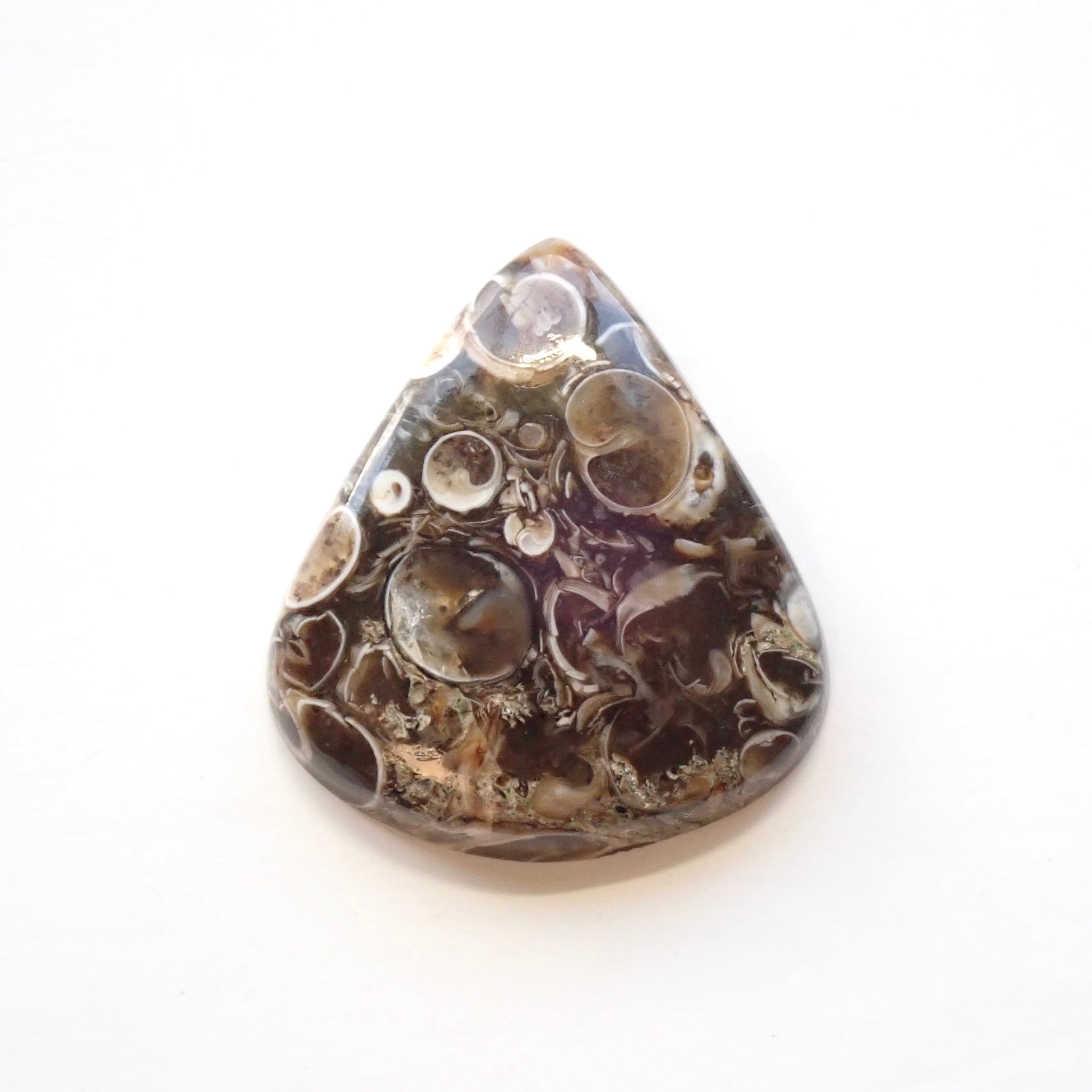 ツリテラアゲート　08