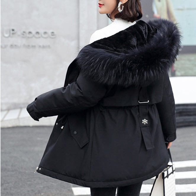 レディースダウン 6カラー ハーフ丈 ダウンジャケット ジャケット