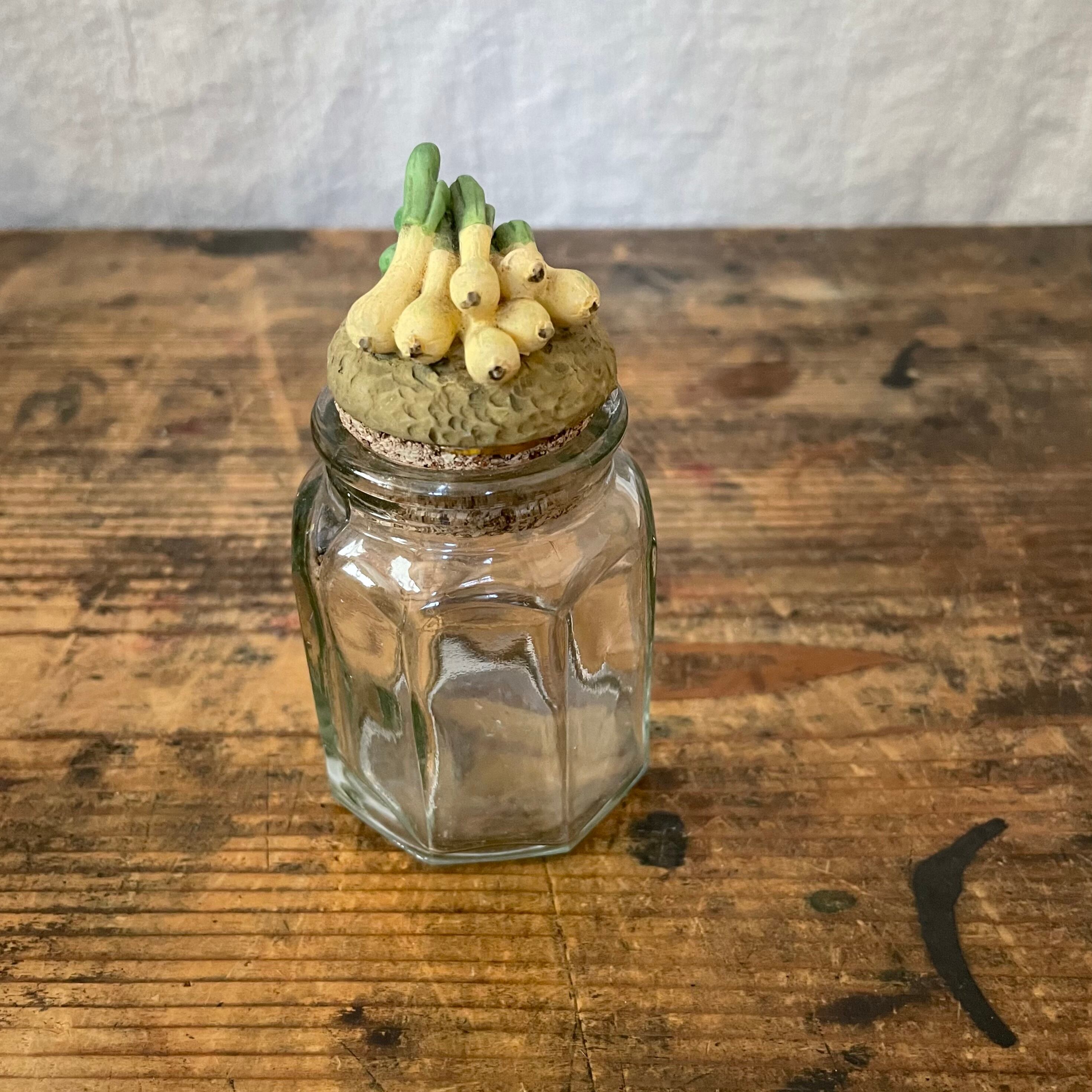 ポロネギのガラスのボトル