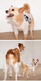 【PUPPYGALLERY公式】クリーミーソフトニット【アイボリー】