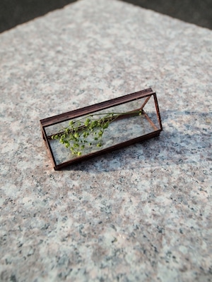 hacomidori 三角植物標本(小) かすみ草(green) 【hcm-sh-ks-s-green】