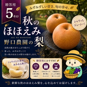 ⬛︎贈答用 秋のほほえみ 5kg
