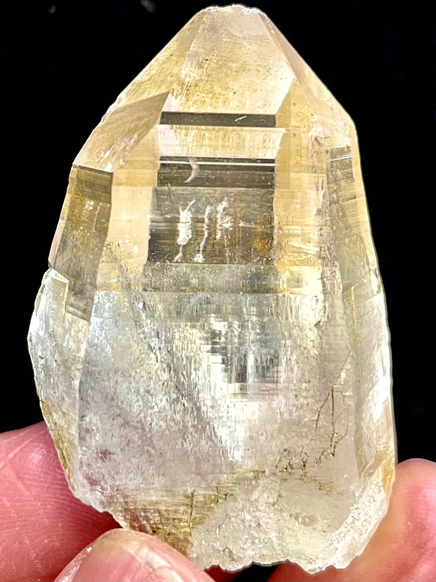 17) New!パキスタン・ヒマラヤ「スカルドゥ」ゴールデンヒーラー