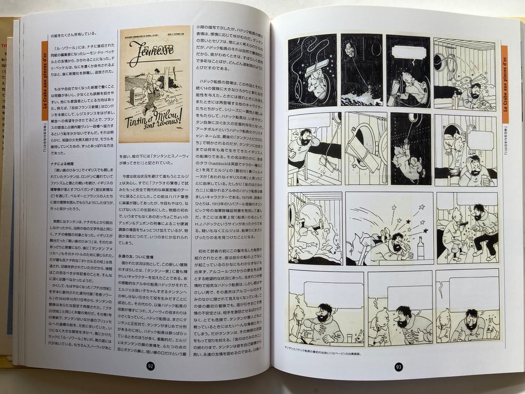 TINTIN タンタンの冒険 その夢と現実 訳・小野耕世 2002年 TINTIN タンタンの冒険 その夢と現実 訳・小野耕世 2002年