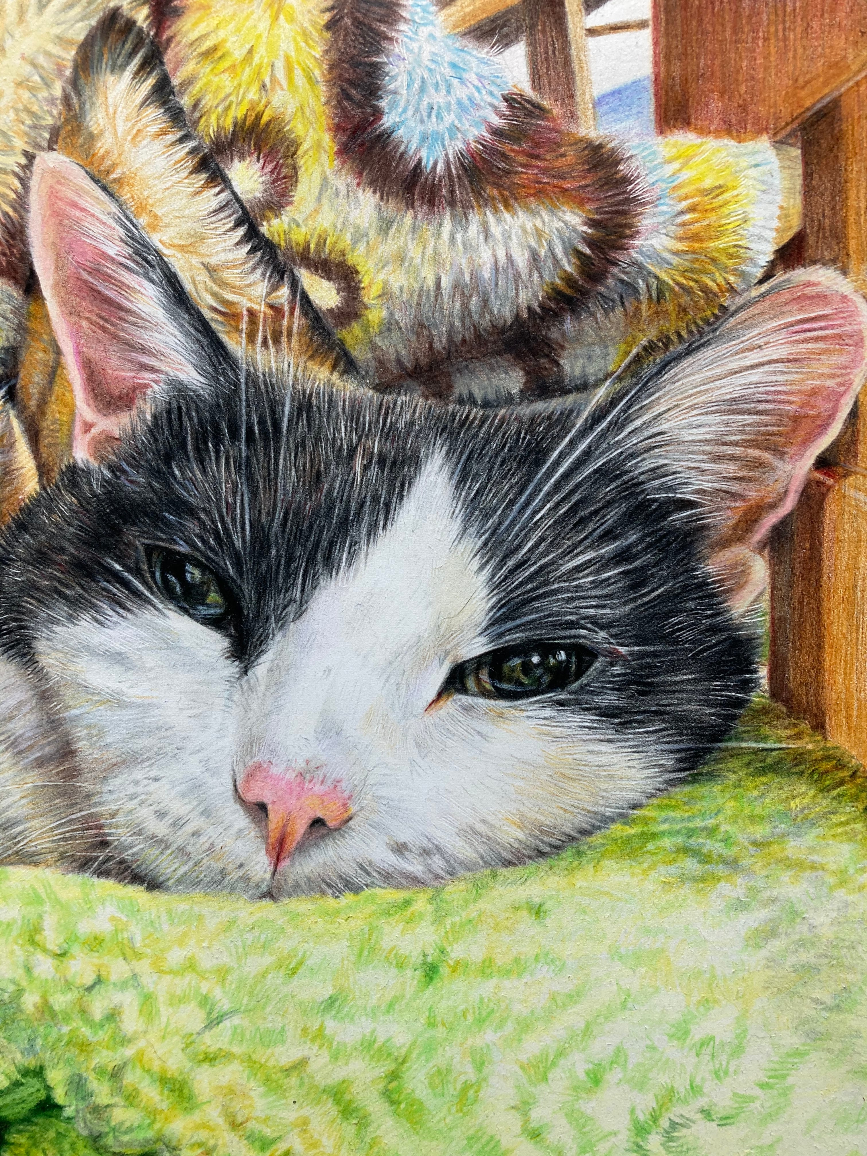 オーダーメイド色鉛筆画(A5サイズ) | ペットの肖像画屋さん