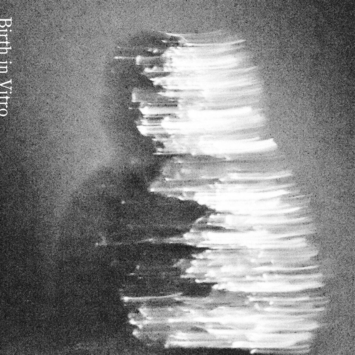 サバシスター / 鯖ノ壱 | motion records