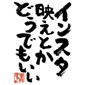 インスタ映えとかどうでもいい ka300-13 おもしろtシャツ 漢字 文字 メッセージTシャツ