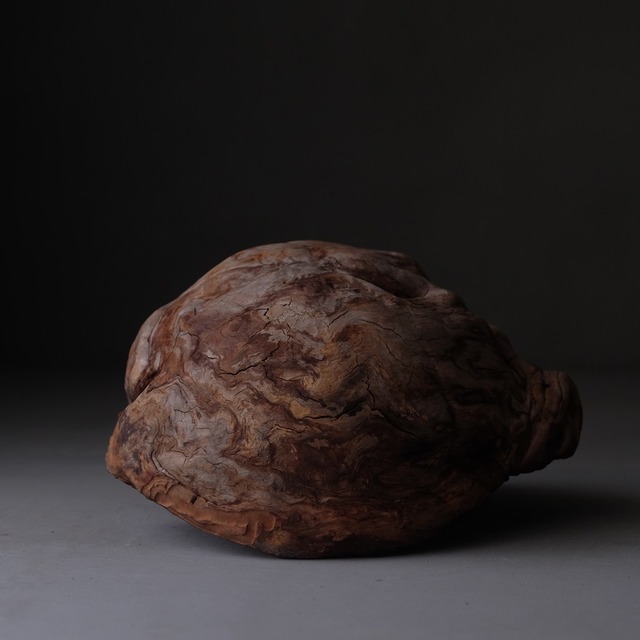 Tree burl