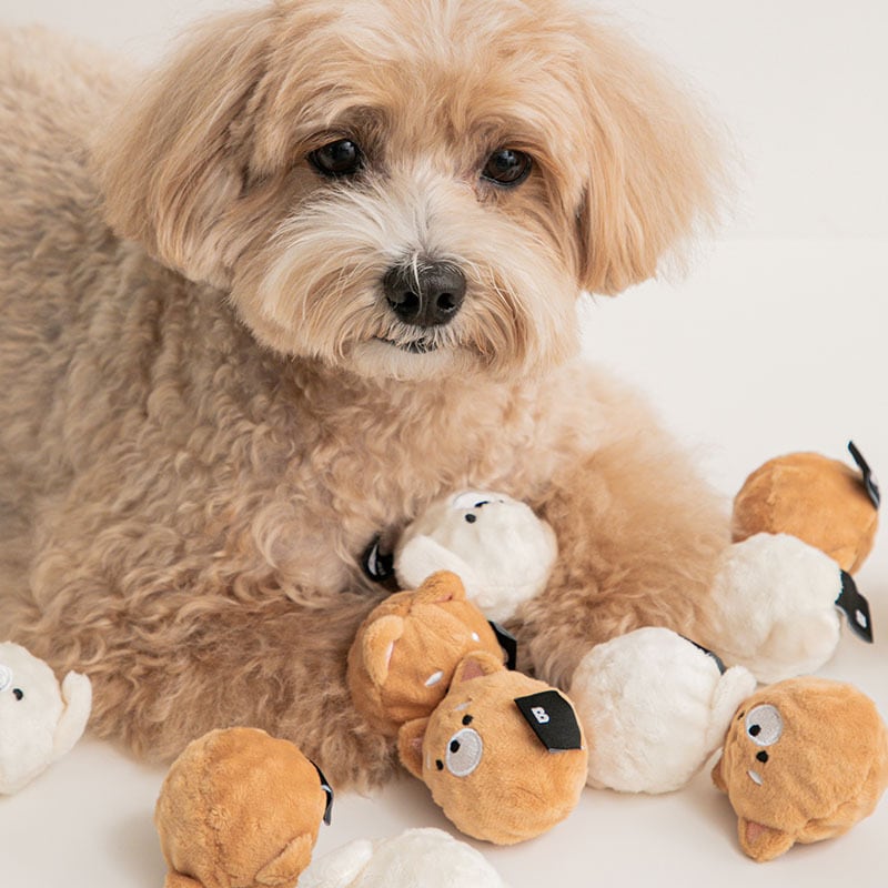 BITEME ワンちゃんのお友達ボールおもちゃ 2個セット ペット 犬