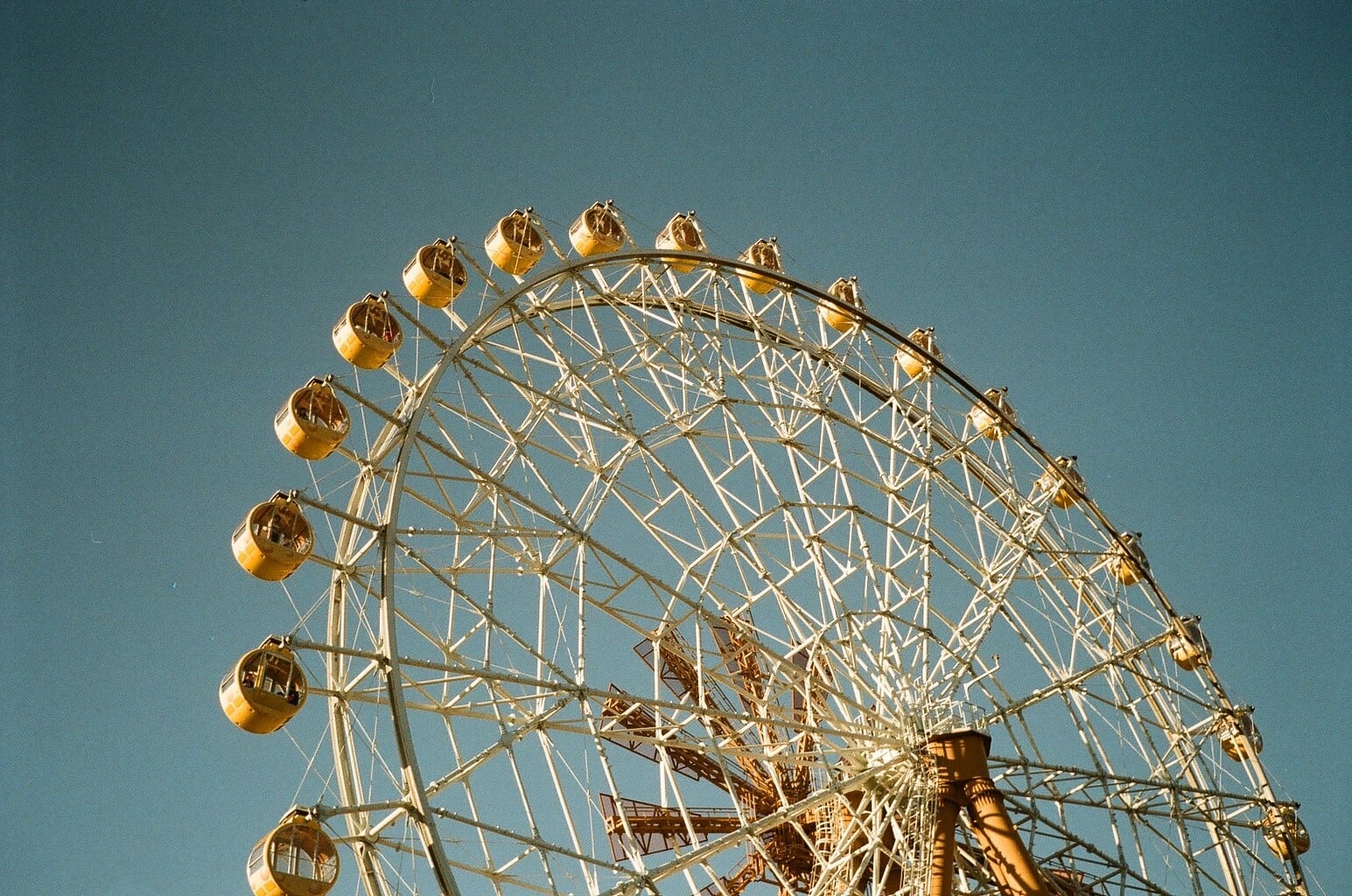 作例あり】OLYMPUS TRIP35 / D.Zuiko 40mm F2.8 整備済 ネガフィルム付