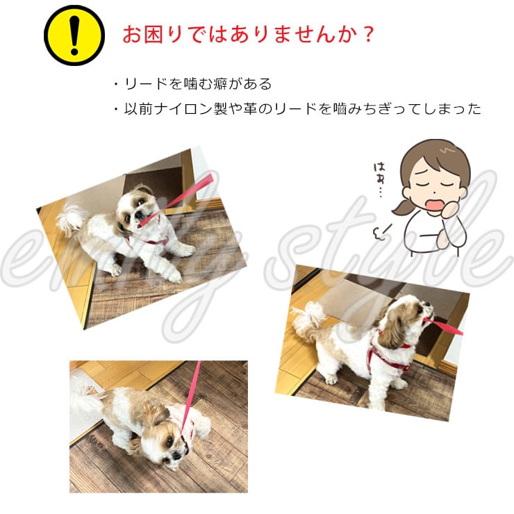 噛み癖防止☆耐久性のあるワイヤーリード】 犬 ワイヤー リード 噛み癖