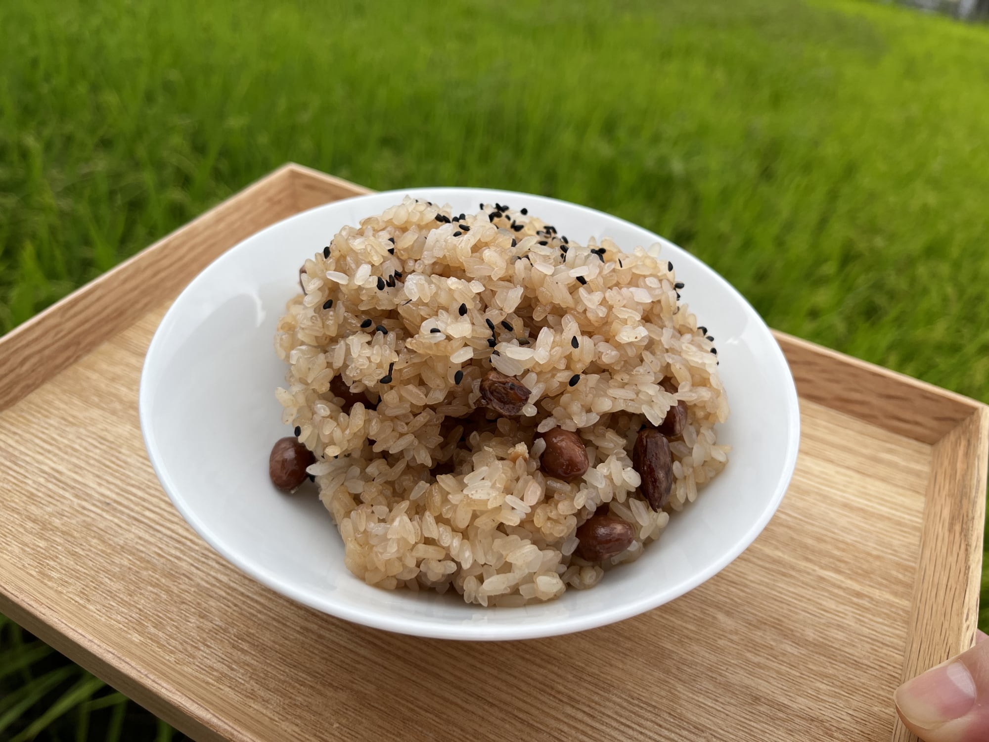 新一   もち米ほしい方いますか？ もち米はどこで買える？日系スーパー（送料無料あり）| Weee!