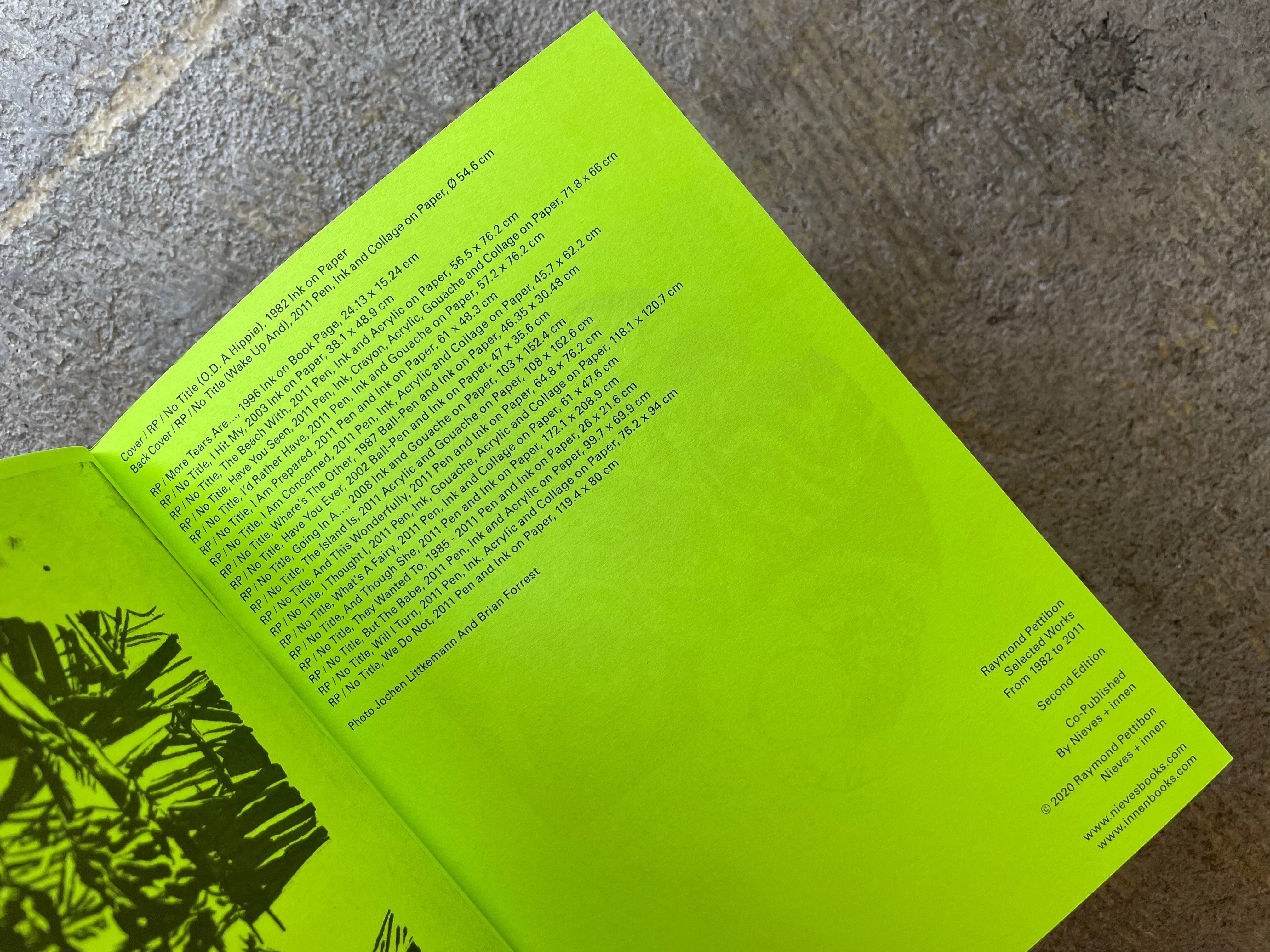 Raymond Pettibon 画集 ☆美品☆Raymond Pettibon アートブック