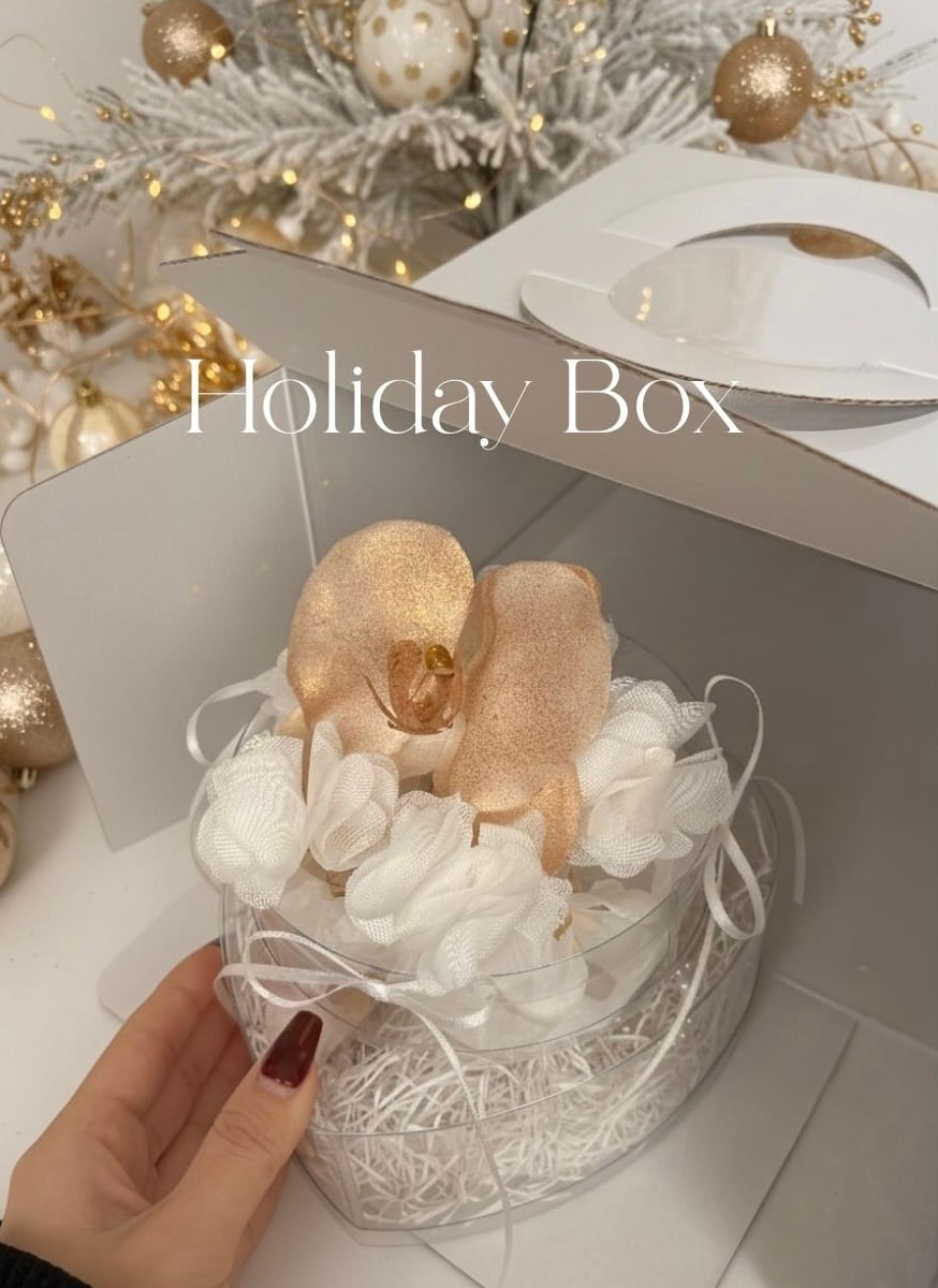 Holiday Box 2025