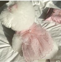 3-64/小型犬向け ペットウェディングドレス テディ・ポメラニアン向け M