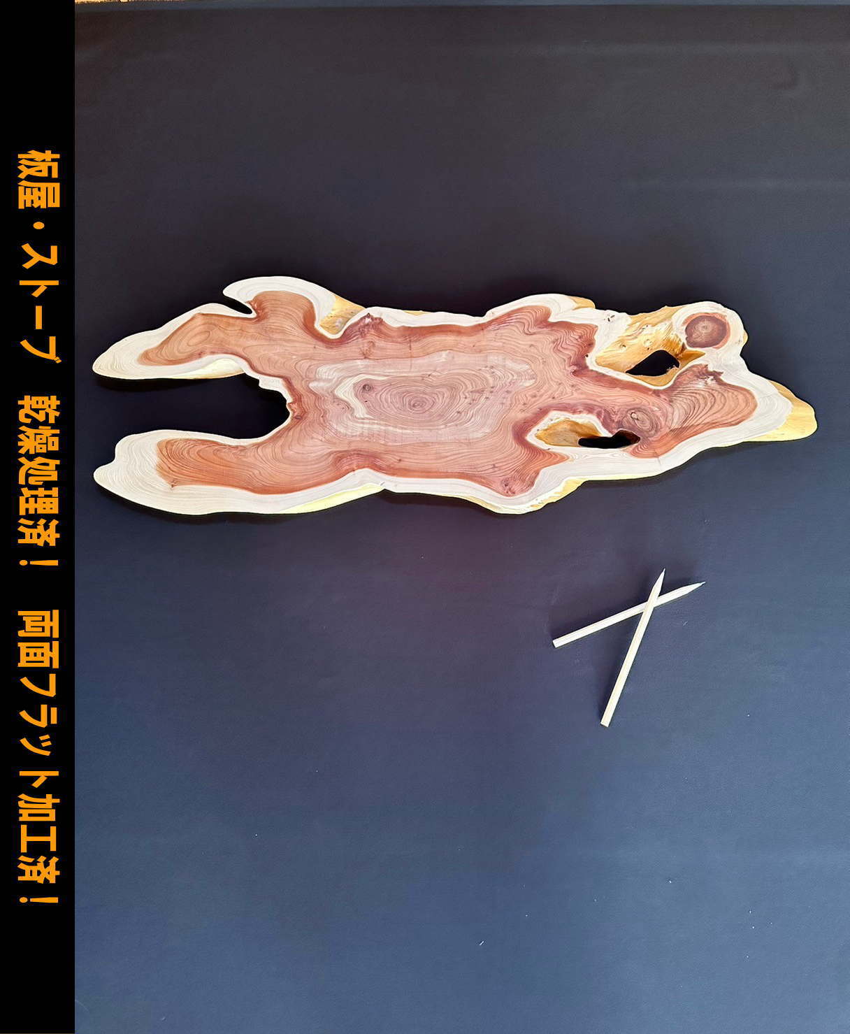 貝塚伊吹 輪切 860-A2 イブキ レジンテーブル 時計盤 看板 | 一枚板 