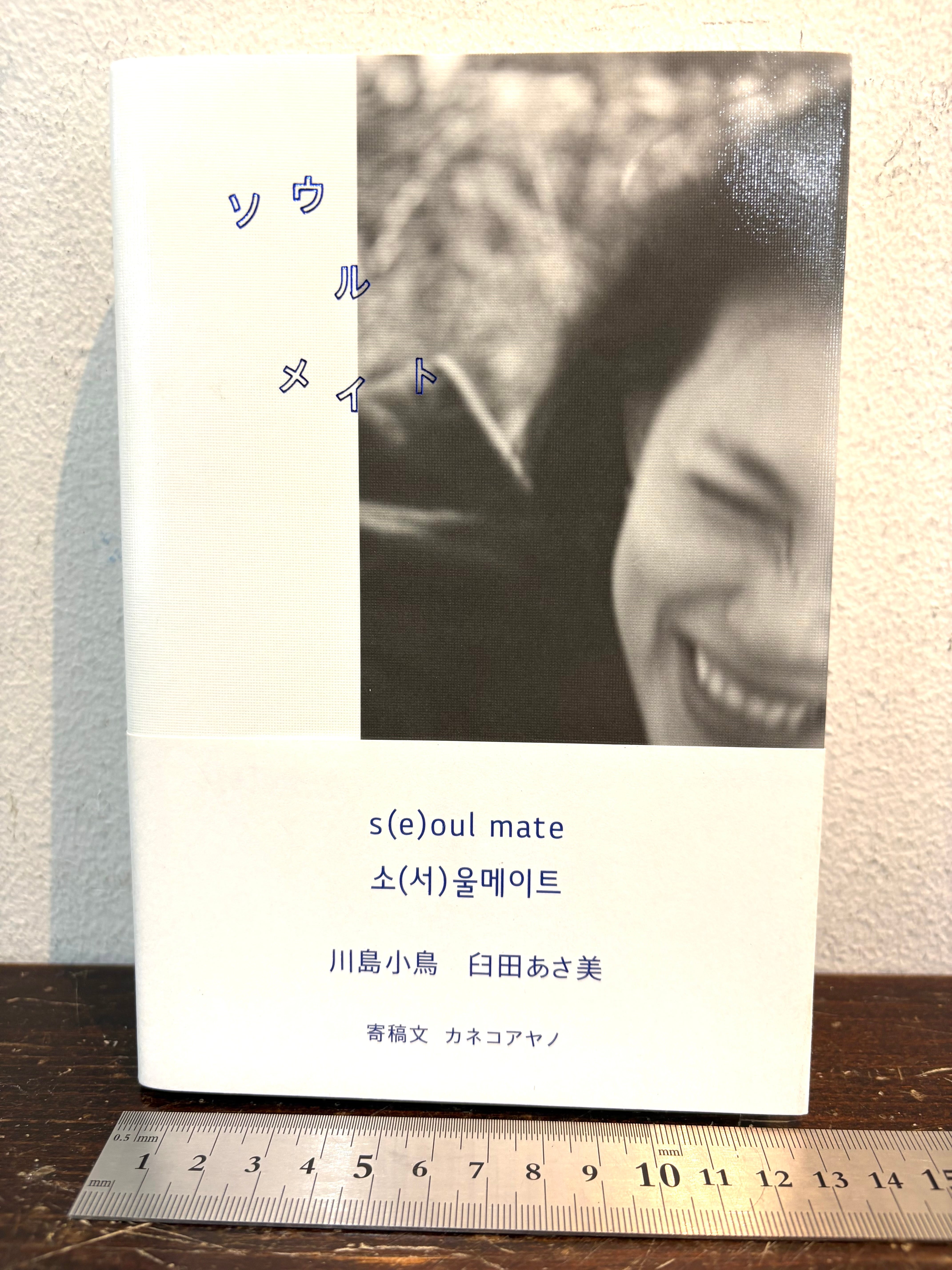 56 Ishida Eri 石田えり写真集 ピーター・リンドバーグ | zbooks