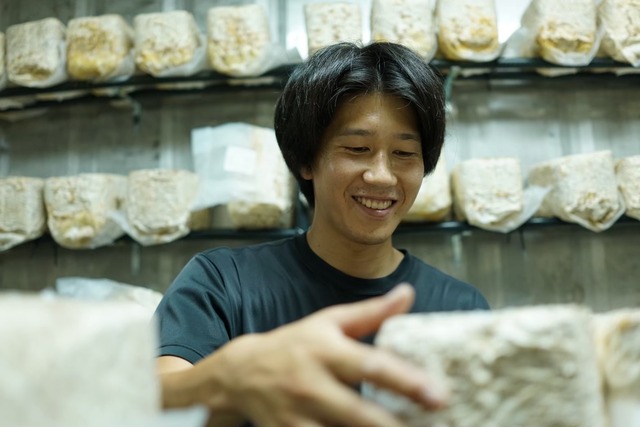 乾燥きくらげ(25g)