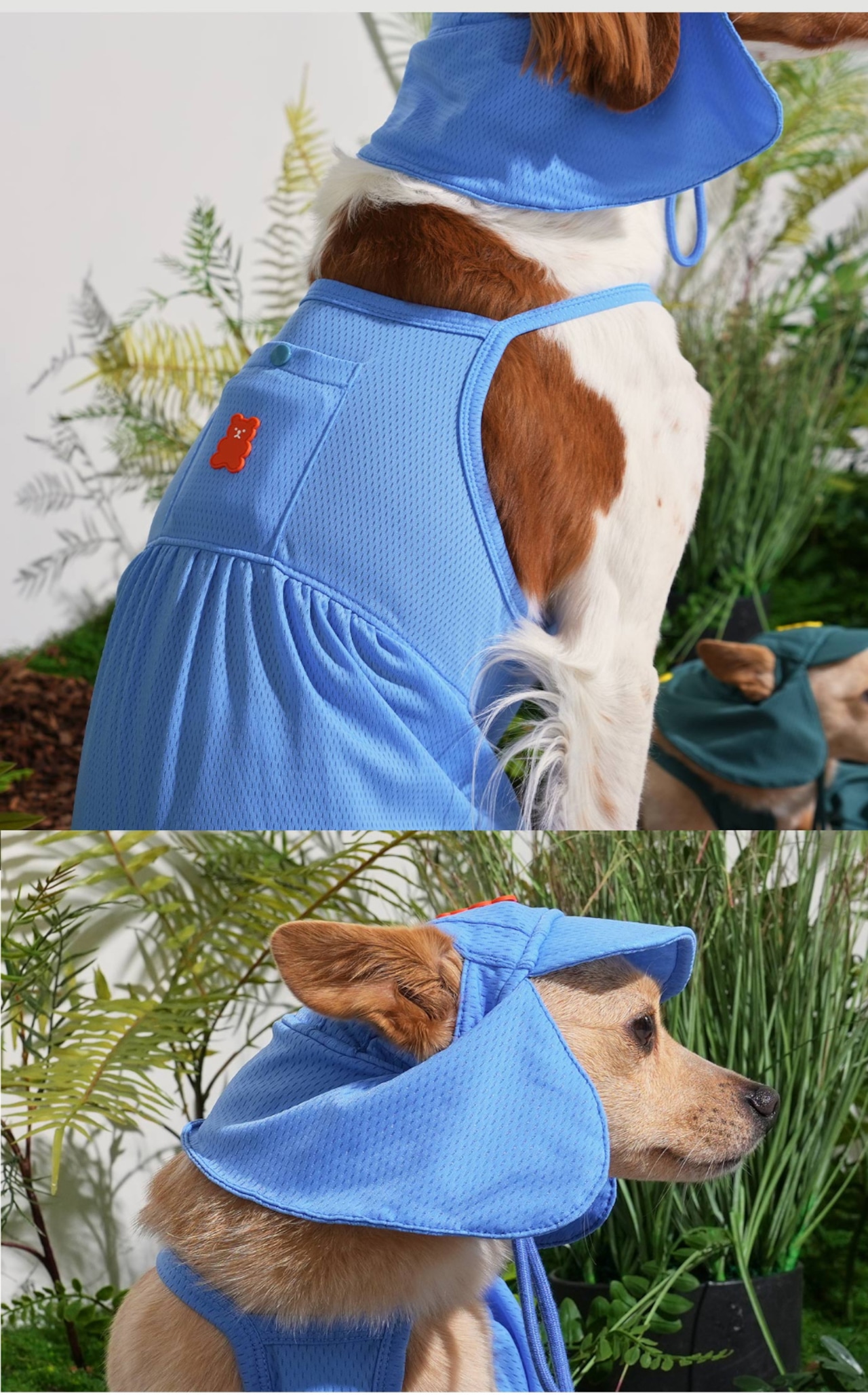 【PUPPYGALLERY公式】Jelly Bear Sun Hat　S-M