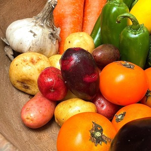 VEGETABLE WONDERLAND SET（Mセット/月1回コース）