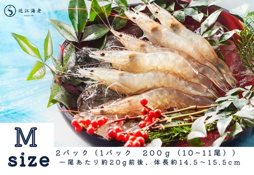 【Mサイズ】 近江海老（生食可、活〆急速冷凍）２パック