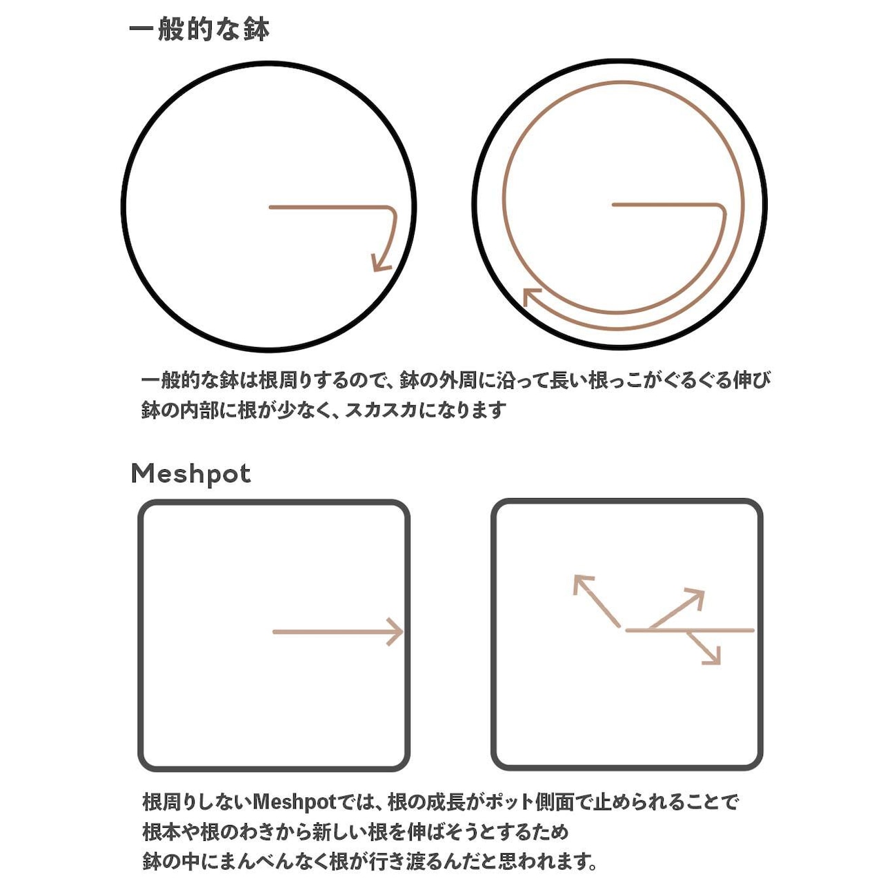 Meshpot STANDARD 6cm ホワイト