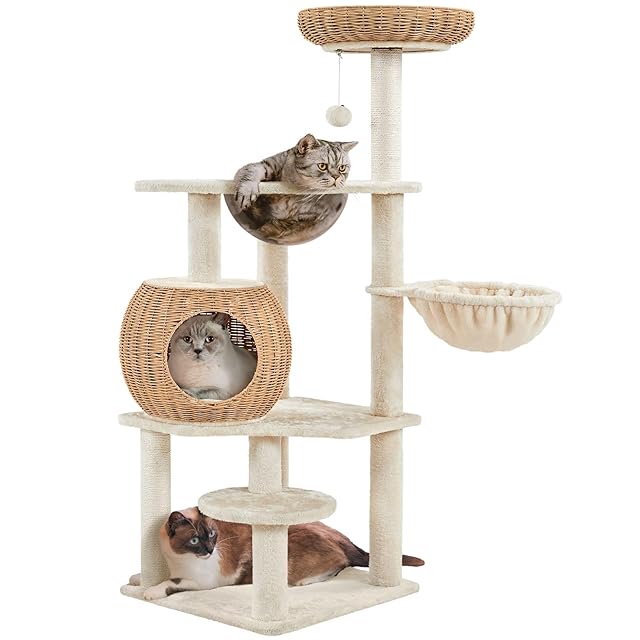 猫多頭飼い 大型 猫 キャット タワー キャットタワー 木 の人気商品