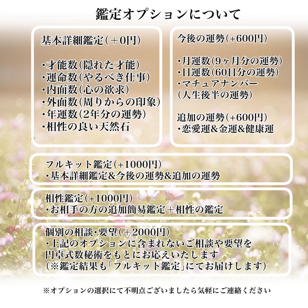 幸せオーダーブレスレット【占い鑑定付き】 | ミスタジオ -mystudio-