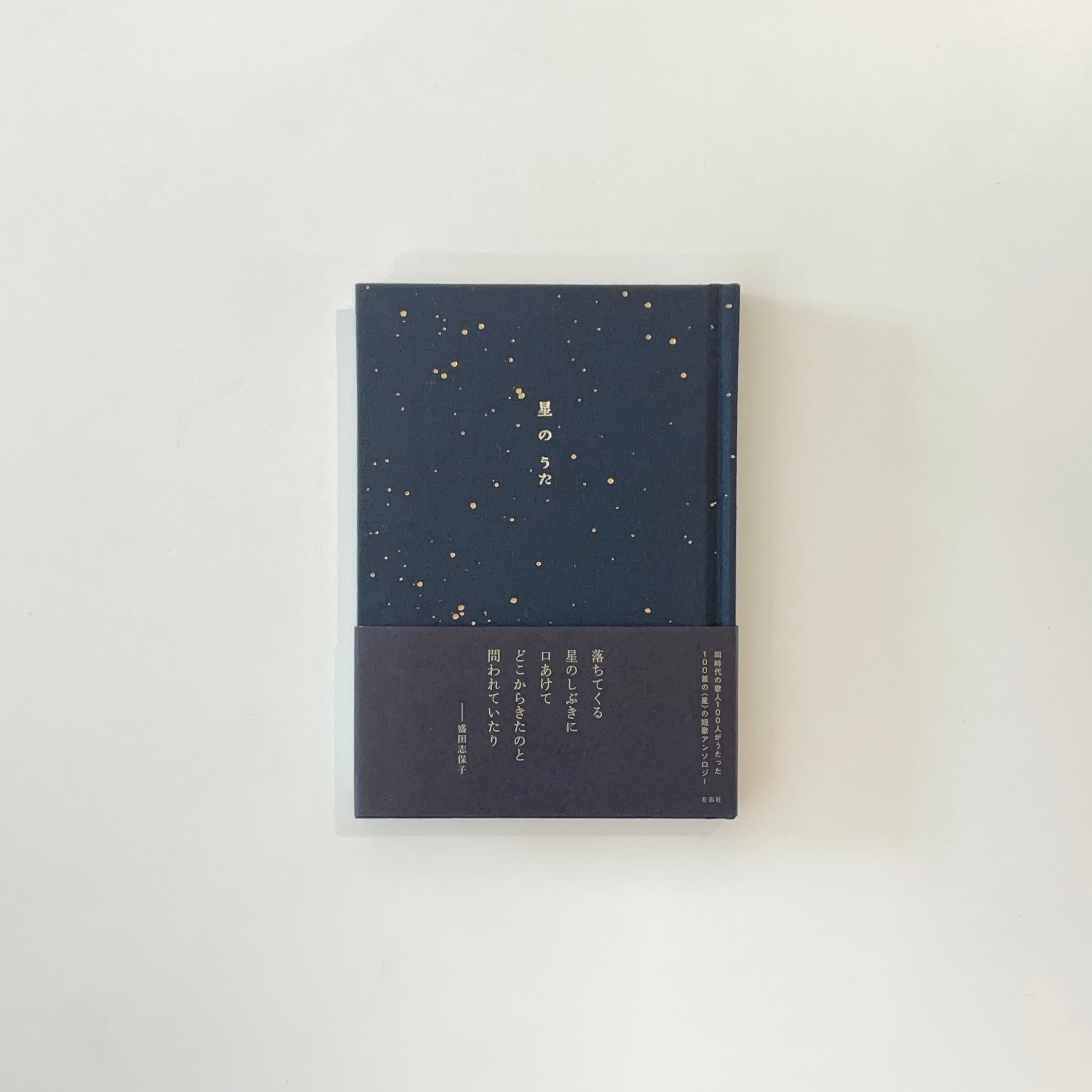 足摺り水族館｜panpanya | 本の栞