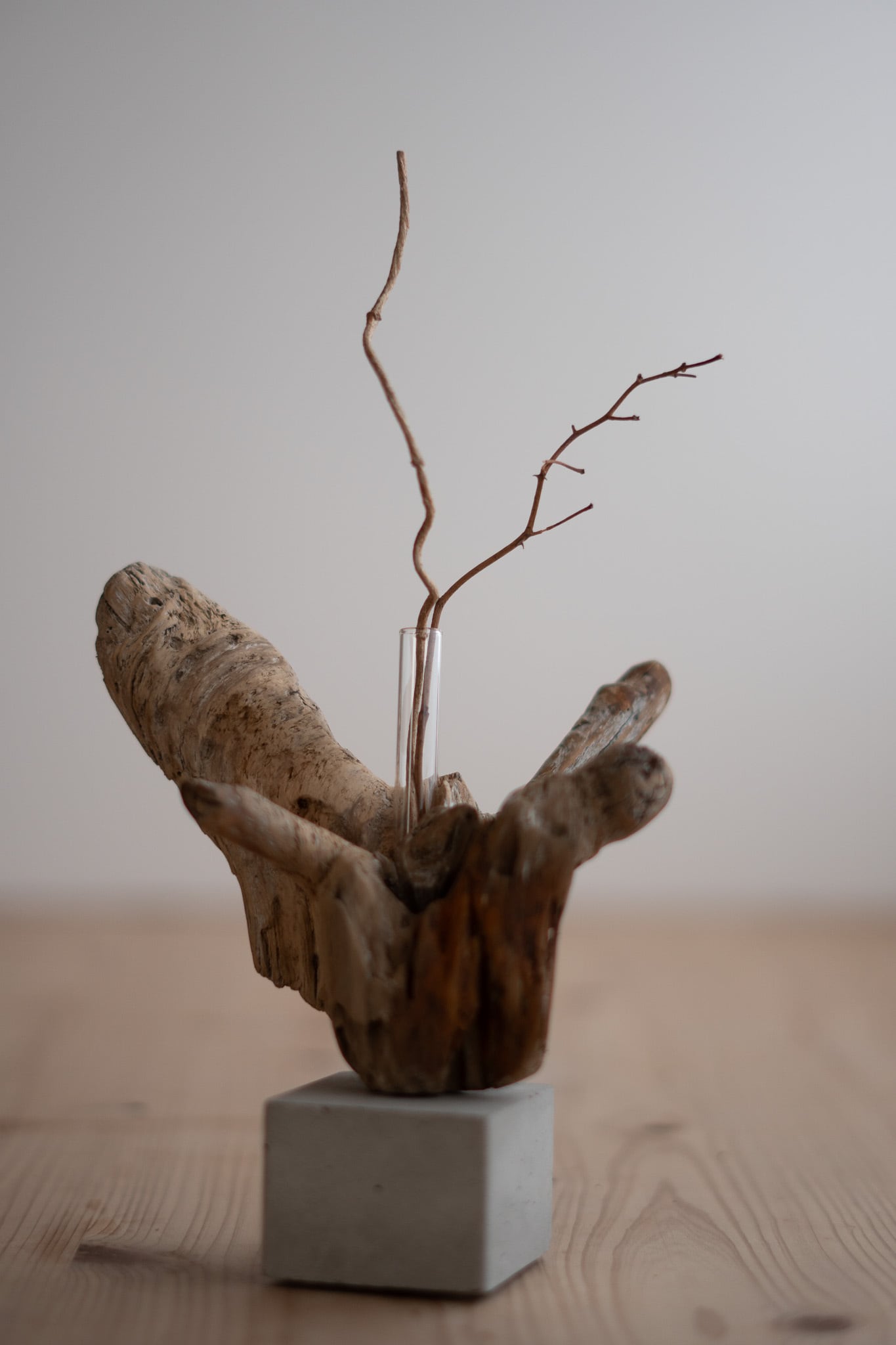 流木一輪挿し Cement S〔無塗装〕 no.52 | saisei