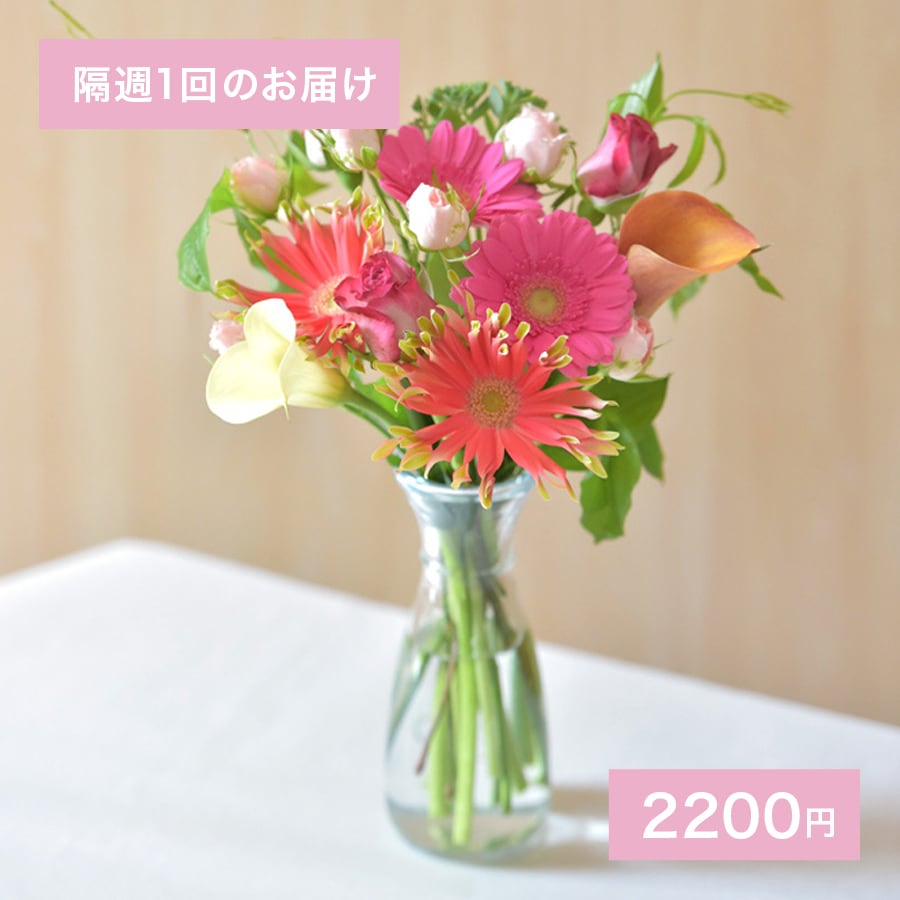 お花の定期便】隔週1回のお届け 2200円 | 【お花の定期便】hanacalin