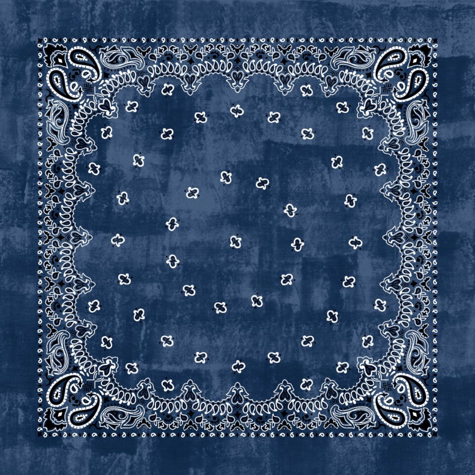 cae53efedc68bf14fb1bf2ce4d02e2