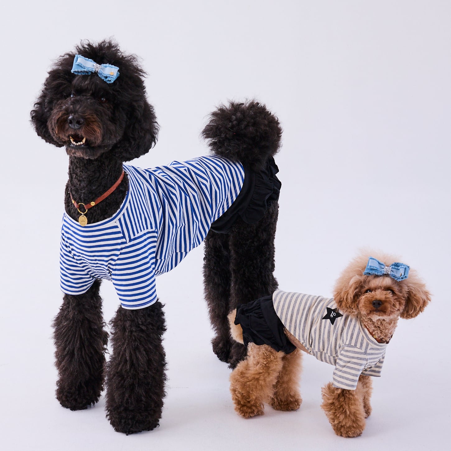 244321] ボーダーTシャツ | 犬服ブランド 2e deuxieme cale