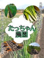 【鳥取県産】黄金里芋 1kg 山芋 大和芋