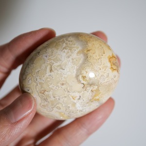 クレイジーレースアゲート イエロー / パーム