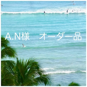 A.N様　オーダー品