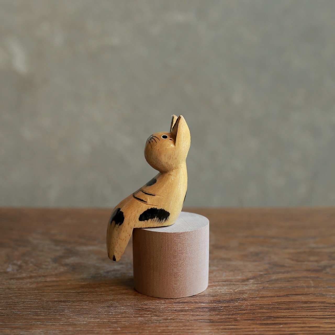 ちょこんと切り株に座る、休憩中のネコ 1