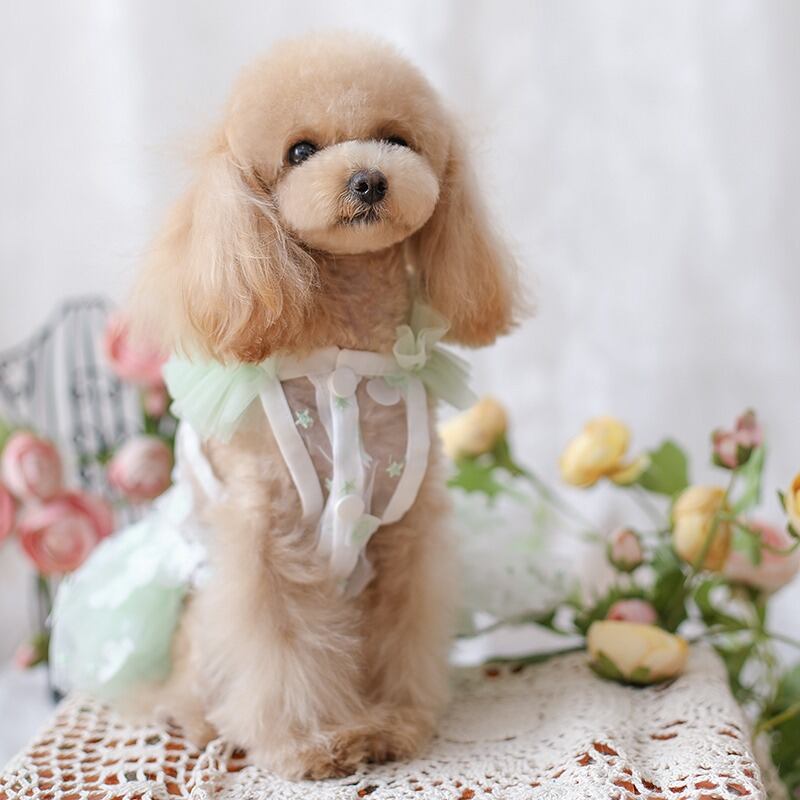 大型犬もOK 爽やかグリーンの涼しげ素材ワンピース