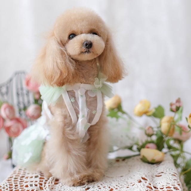 大型犬もOK 爽やかグリーンの涼しげ素材ワンピース