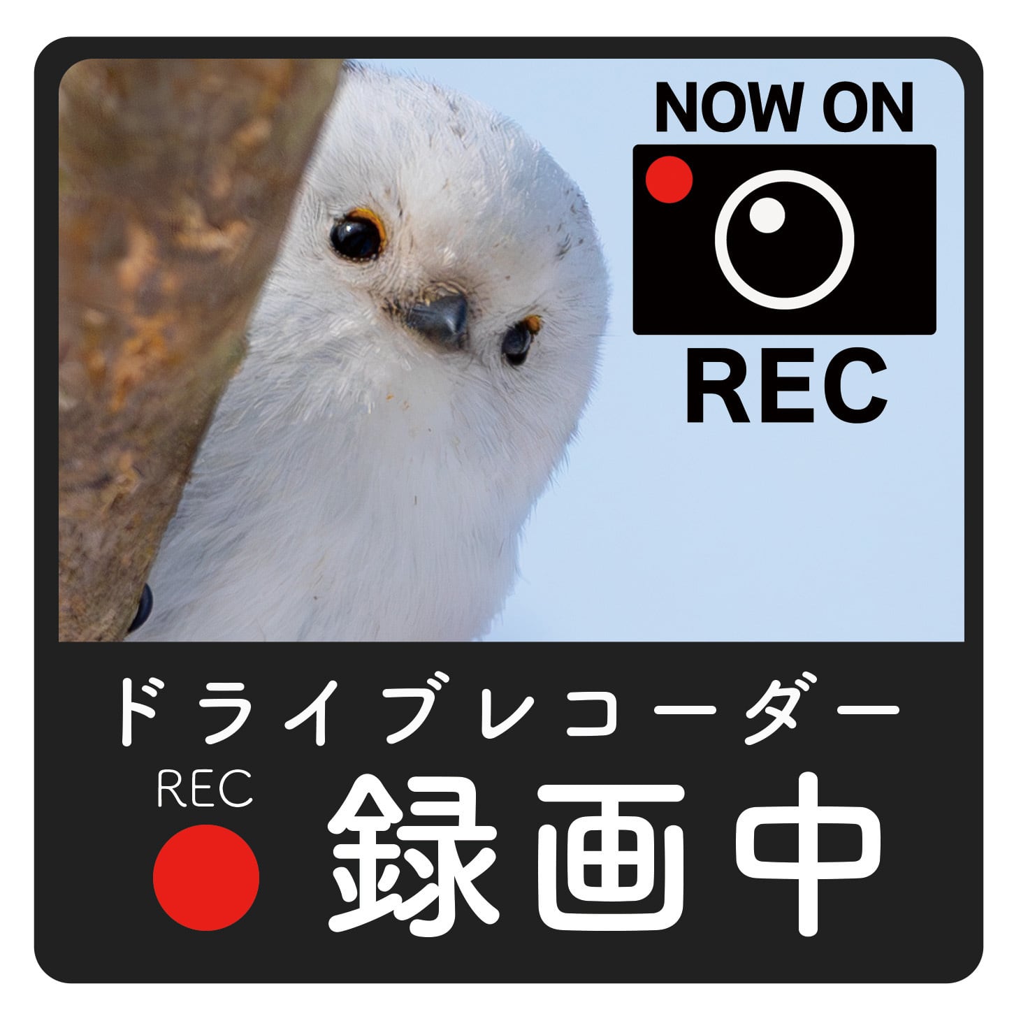 caee14dc5bf50e63e1f112f36a8d03