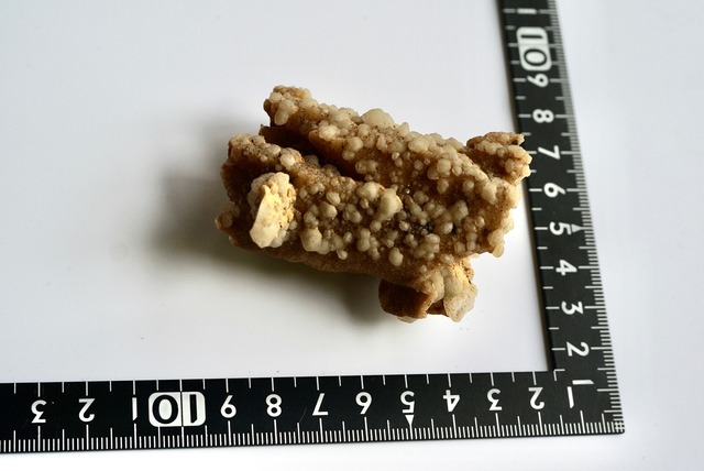 カルサイト / アラゴナイト　Calcite / Aragonite