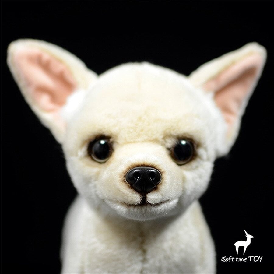 caf3a7aaff02323d734c30df335791