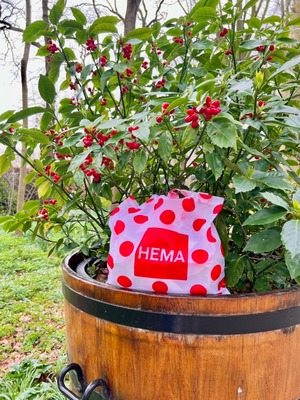 HEMA ECOBAG／Dots（Wh×Re）