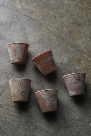 育苗用テラコッタポット5個セット No.5-antique tera cotta pot set